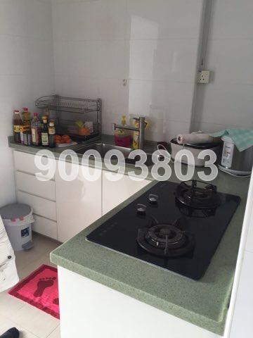 Blk 508 Jelapang Road (Bukit Panjang), HDB 4 Rooms #172503612